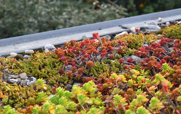 the cost of Scotterthorpe green roof installation