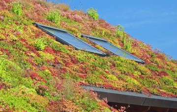 Scotterthorpe living roof systems