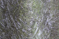 Scotterthorpe fibreglass roof work